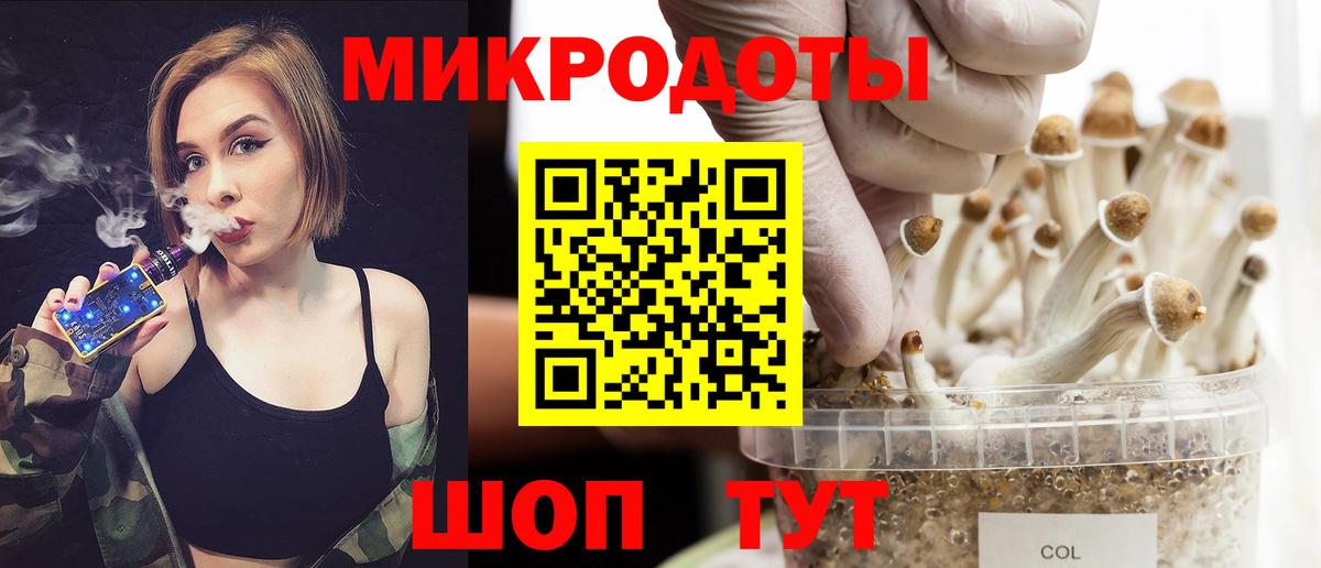 Псилоцибиновые грибы Psilocybine cubensis Самара