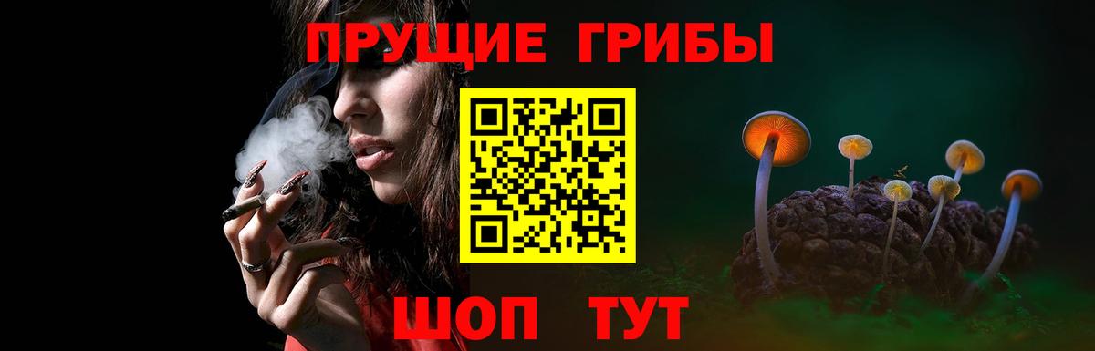 купить наркоту  Псилоцибиновые грибы мицелий  Вход с VPN  Самара 